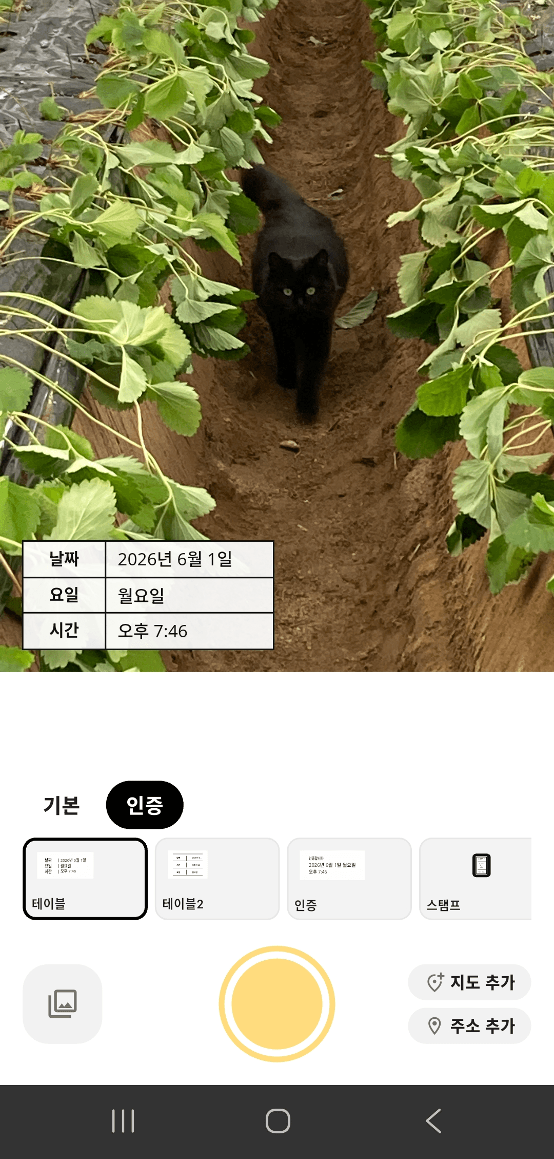 날짜와 시간이 표 형식으로 표시된 날짜카메라 화면